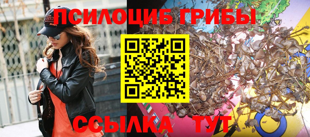 Анапа  Галлюциногенные грибы мицелий  Вход с VPN 
