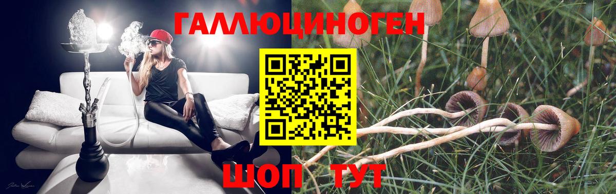 Галлюциногенные грибы Magic Shrooms Анапа